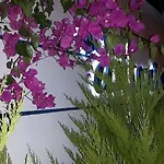 酒店 安东尼奥酒店 2*