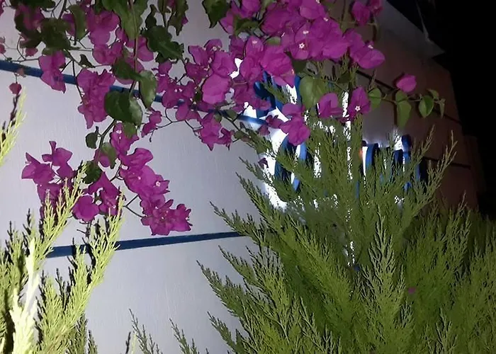 酒店 安东尼奥酒店 2*